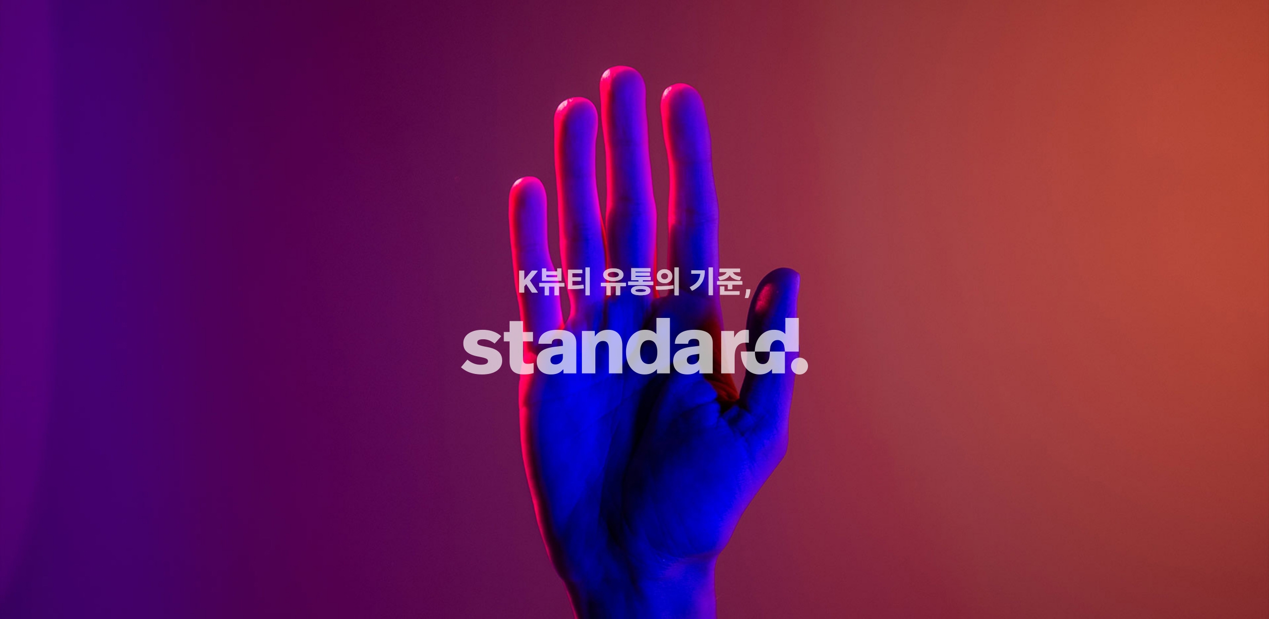 韩国-TEAM STANDARD-团队酷站欣赏